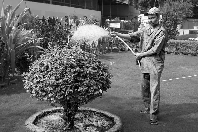 Recycled blackwater reused for watering garden at the community toilet-cum-bath complex constructed by Sulabh International in Shirdi, Maharashtra